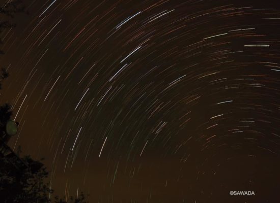 2019_night_hike