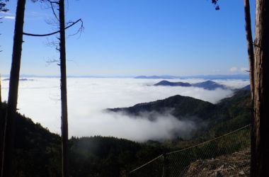 速い参加者に追い越されないよう先に向かいます。
雲海もこの時間になると消え始めています。