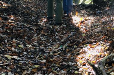 木漏れ日と足元の落ち葉を踏みしめる音が心地よいルートでした(*^^*)