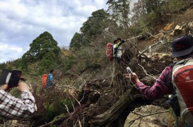 会長に続きダンディーも確認へ