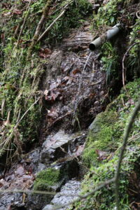 一杯水。
とても冷たくおいしいお水でした 一杯水