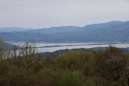 橋立がきれいに見えるとみなさん感激されていました。