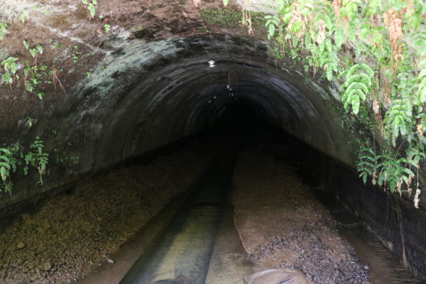 地下から湧き出る大量の水により周辺はエアコンよりも冷たい空気を感じられました。