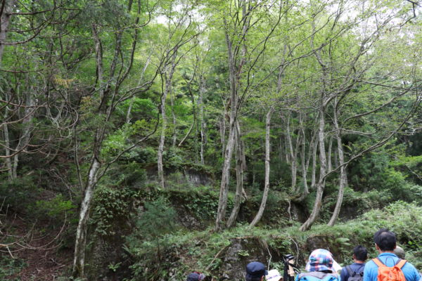 ここもなかなかの遺構でした。